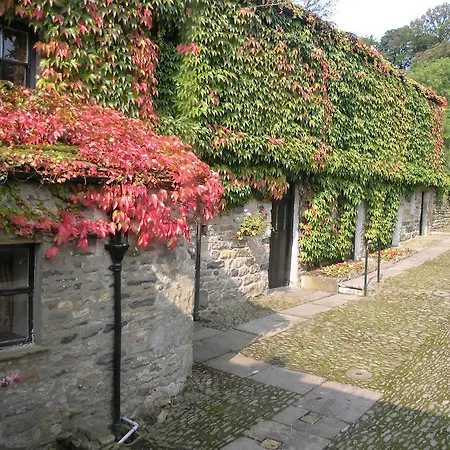 Thorns Hall سيدبرغ